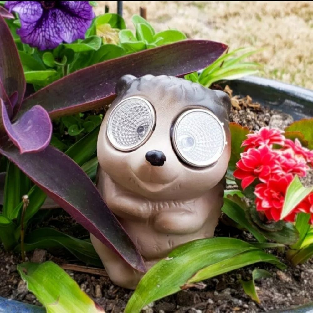 New Garden Critters - HEDGEHOG